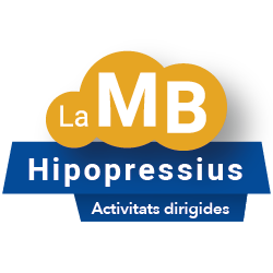 hipopressius-lmb